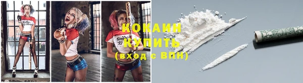 трава Богородицк