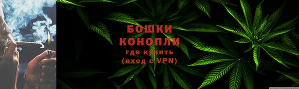 гашик Бородино