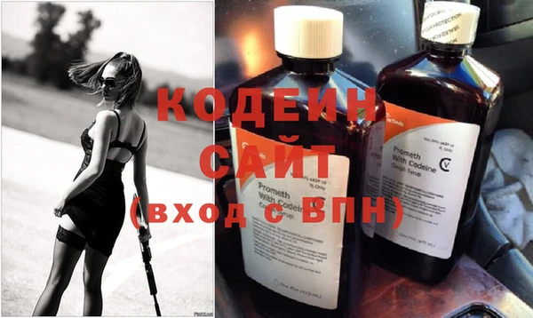 гашик Бородино