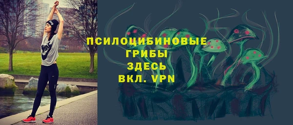 скорость Бронницы